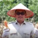 Evi Yandri Hadiri Panen Jagung Serentak di Nagari Katapiang
